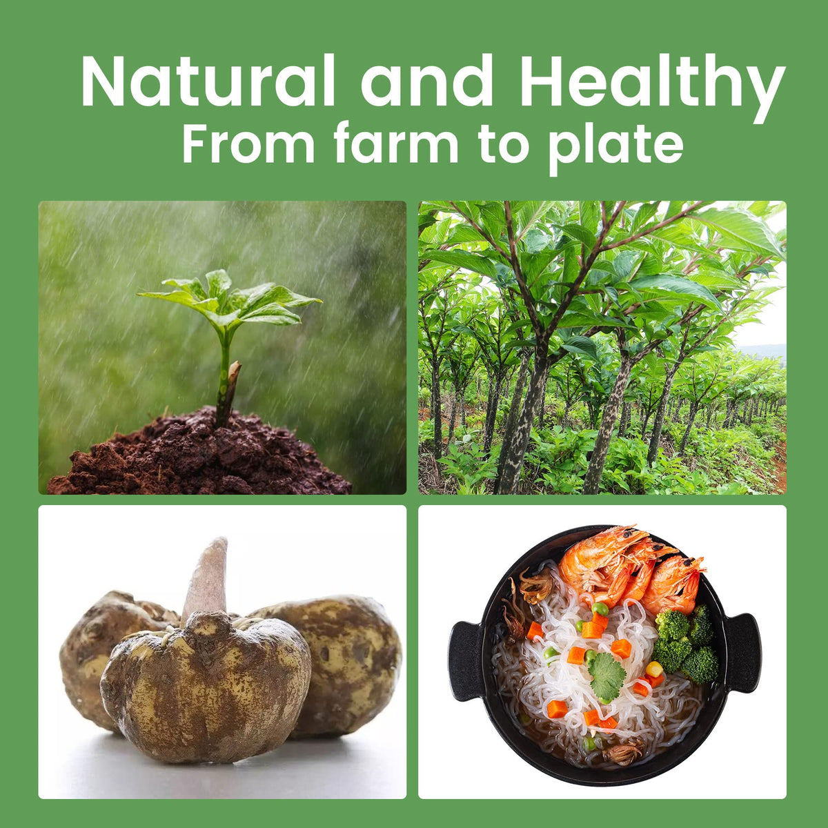 Hethstia Konjac Noodle bowl with stir-fry shows versatile spaghetti alternatives.