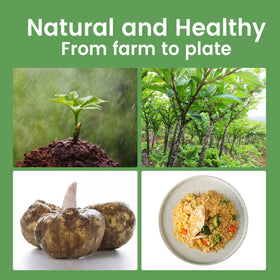 Ready plate of Hethstia Konjac Rice highlights a satisfying, calorie-conscious meal.