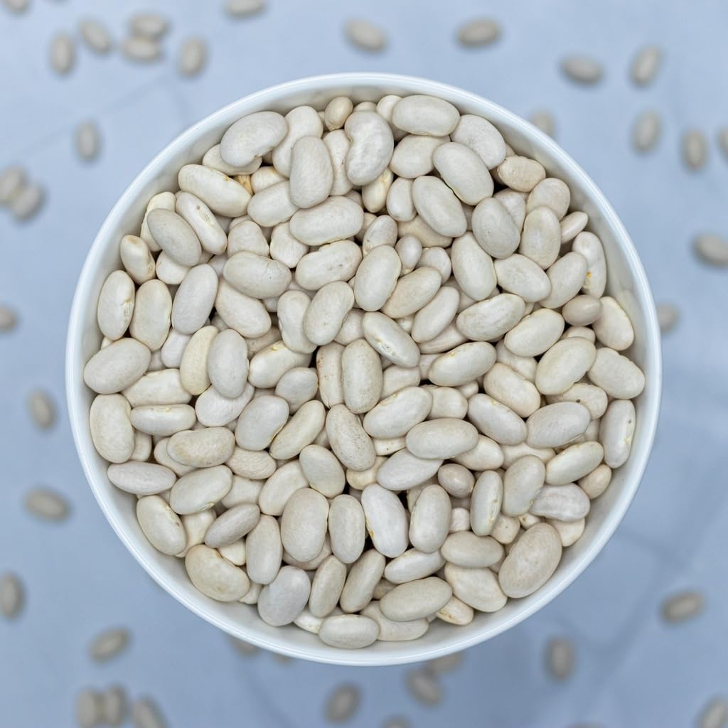 High Plains Great Northern White Beans in a bean salad with herbs