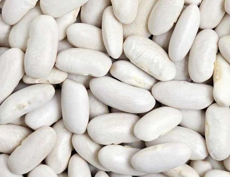 High Plains Great Northern White Beans on pantry shelf showing long shelf life