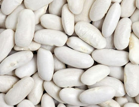 High Plains Great Northern White Beans on pantry shelf showing long shelf life