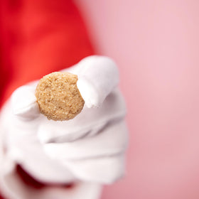 HighKey Ginger Spice Cookies crisp crumbs pair well with tea or coffee.