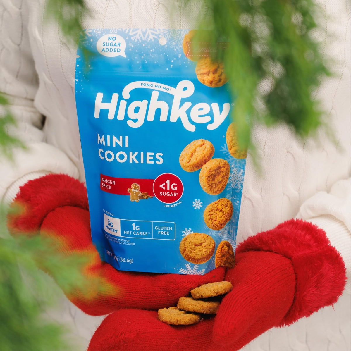HighKey Ginger Spice Cookies kid-friendly sugar-free snack for school lunchboxes.