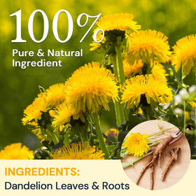 HIIHONE Dandelion Tea tea bag closeup shows hand-picked ingredients and aroma.