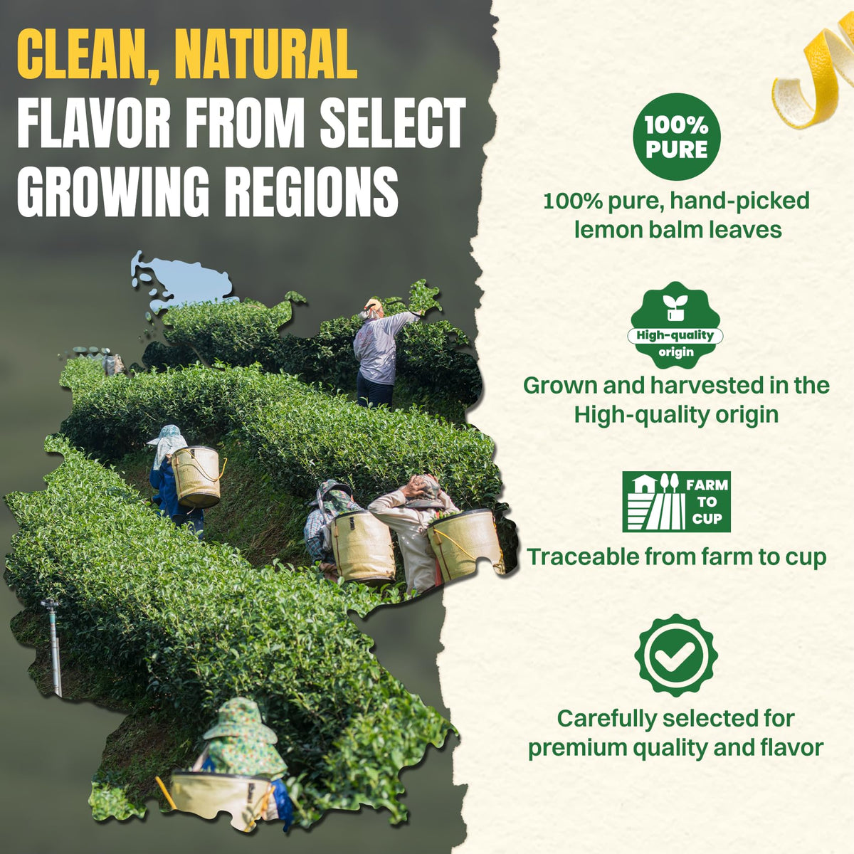 Hiihone Lemon Balm leaves from trusted farms highlight high-quality sourcing.