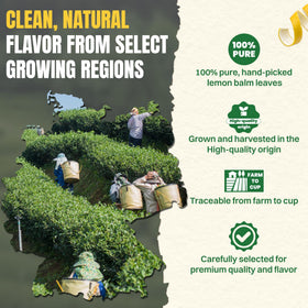 Hiihone Lemon Balm leaves from trusted farms highlight high-quality sourcing.