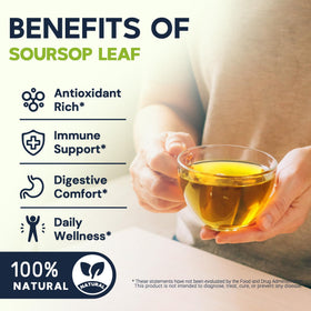 HIIHONE Soursop Leaves view highlighting hand-harvested quality