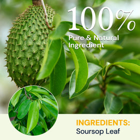 HIIHONE Soursop Leaf Tea steeping in cup, ready in minutes