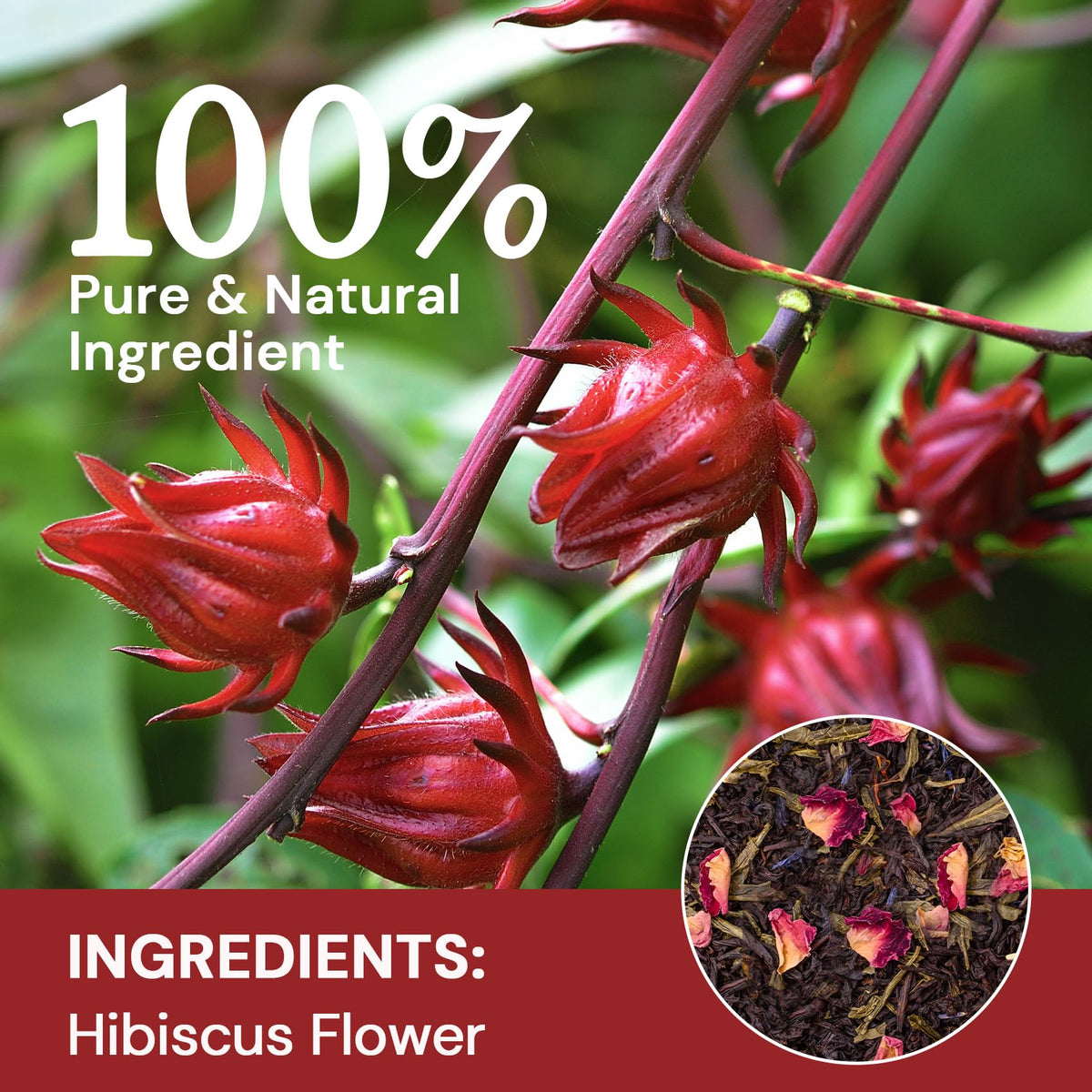 HIIHONE hibiscus flowers showing the natural ingredients