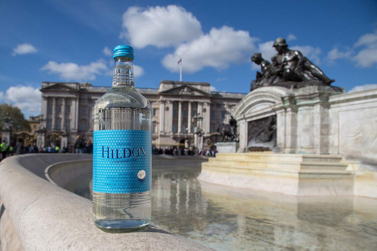 Pour Hildon Delightfully Still into a glass for a crisp, clean palate.