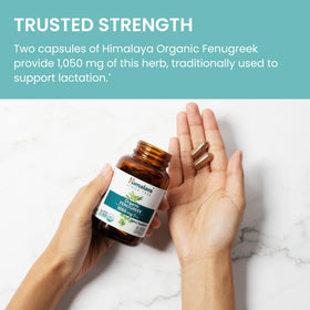 Himalaya Fenugreek bottle on kitchen counter ready for daily use