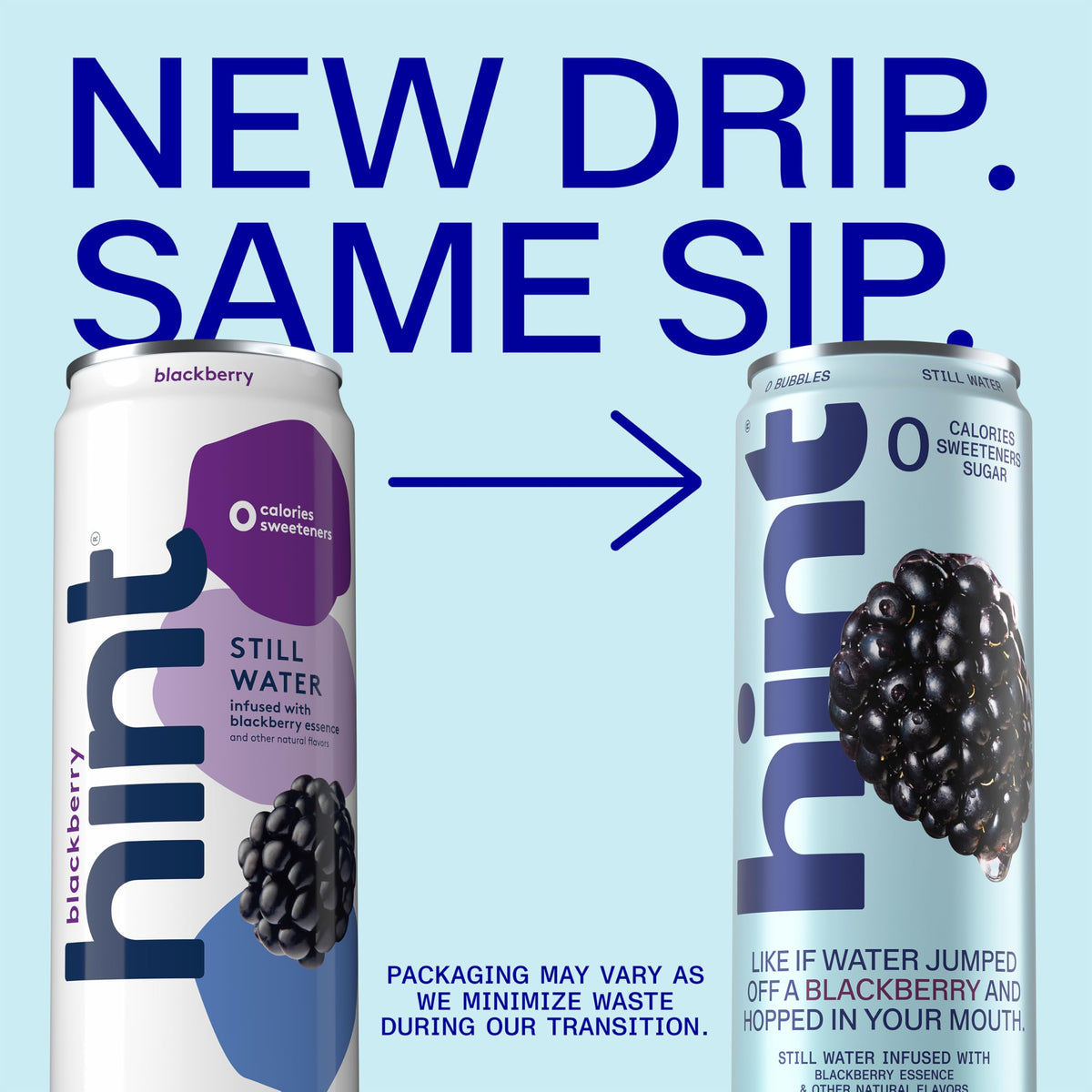 Hint blackberry flavor close-up highlights true fruit essences in a convenient can.