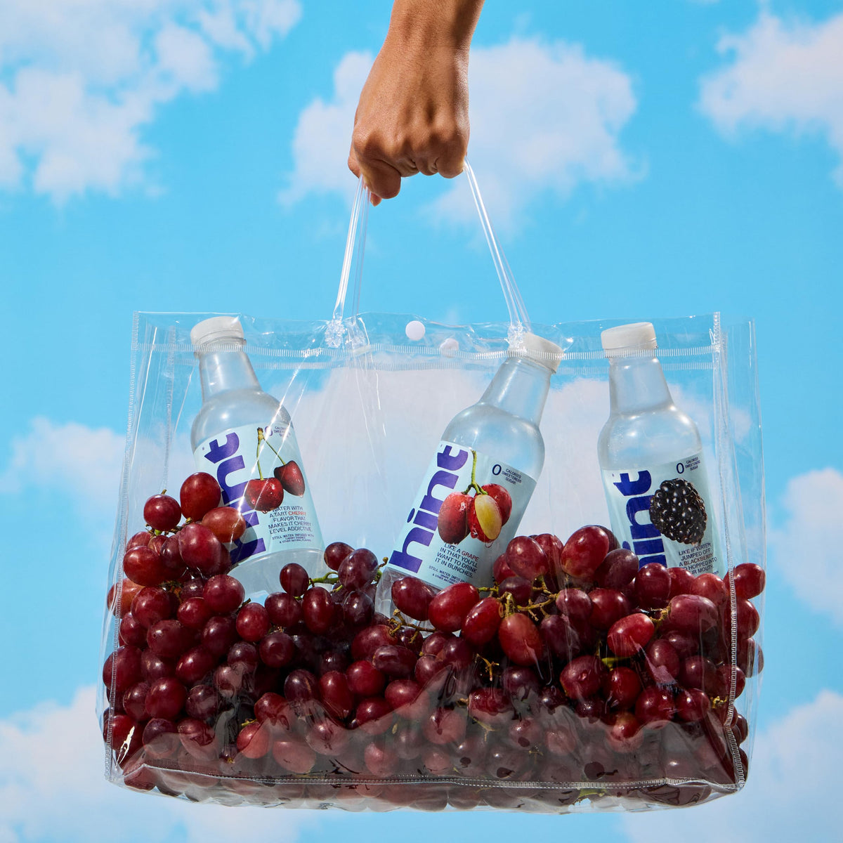 Hint grape fruit-infused water case enables portable, sugar-free refreshment
