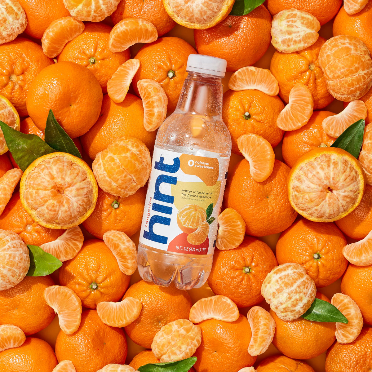 Hint-pack-12 bottles illustrate dependable hydration for home, work, or travel.