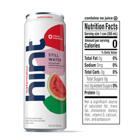 Hint Watermelon outdoor picnic setup emphasizes portable, crowd-friendly hydration.
