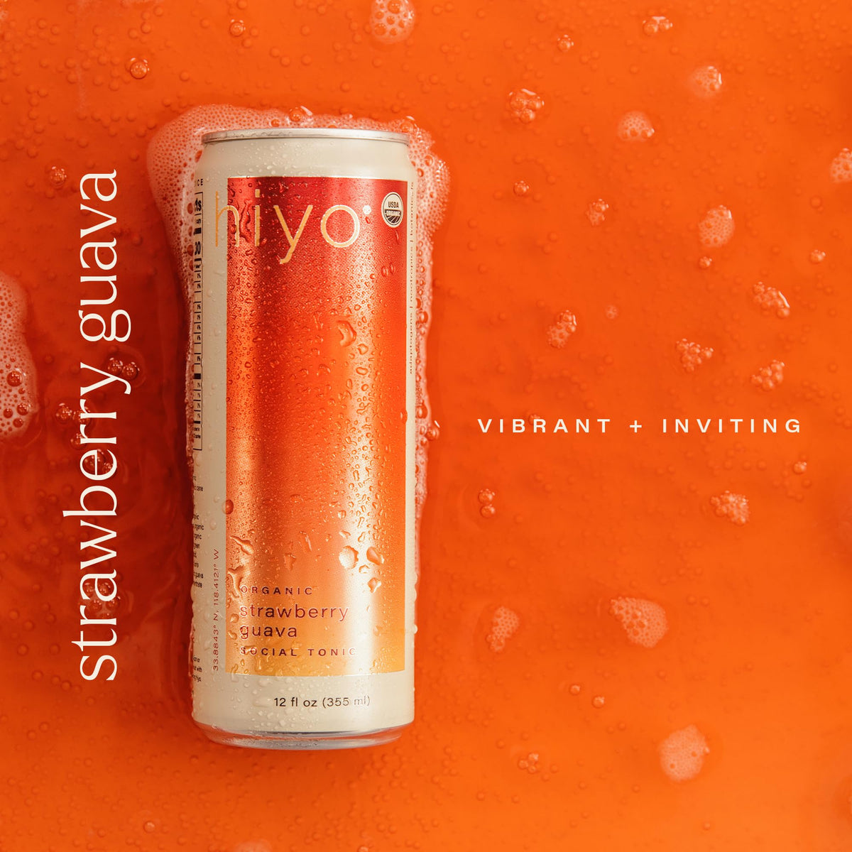 HIYO Social Tonic 12-pack image demonstrates convenient single-serve cans for on-the-go moments.