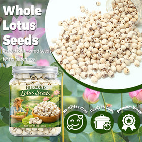 HJUOOKD lotus seeds airtight container storage for freshness.