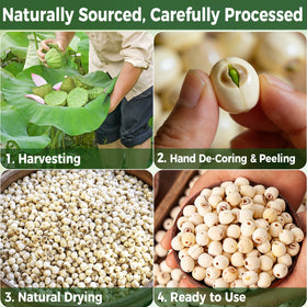HJUOOKD lotus seeds herbal stew image for nourishing plant-based meals.