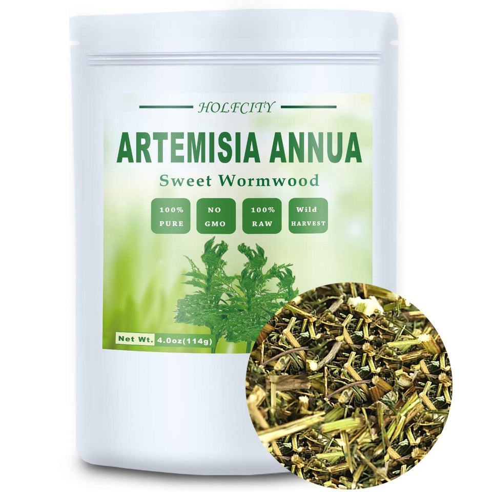 HOLFLYING Artemisia annua leaves 4oz for versatile herbal blends and aroma