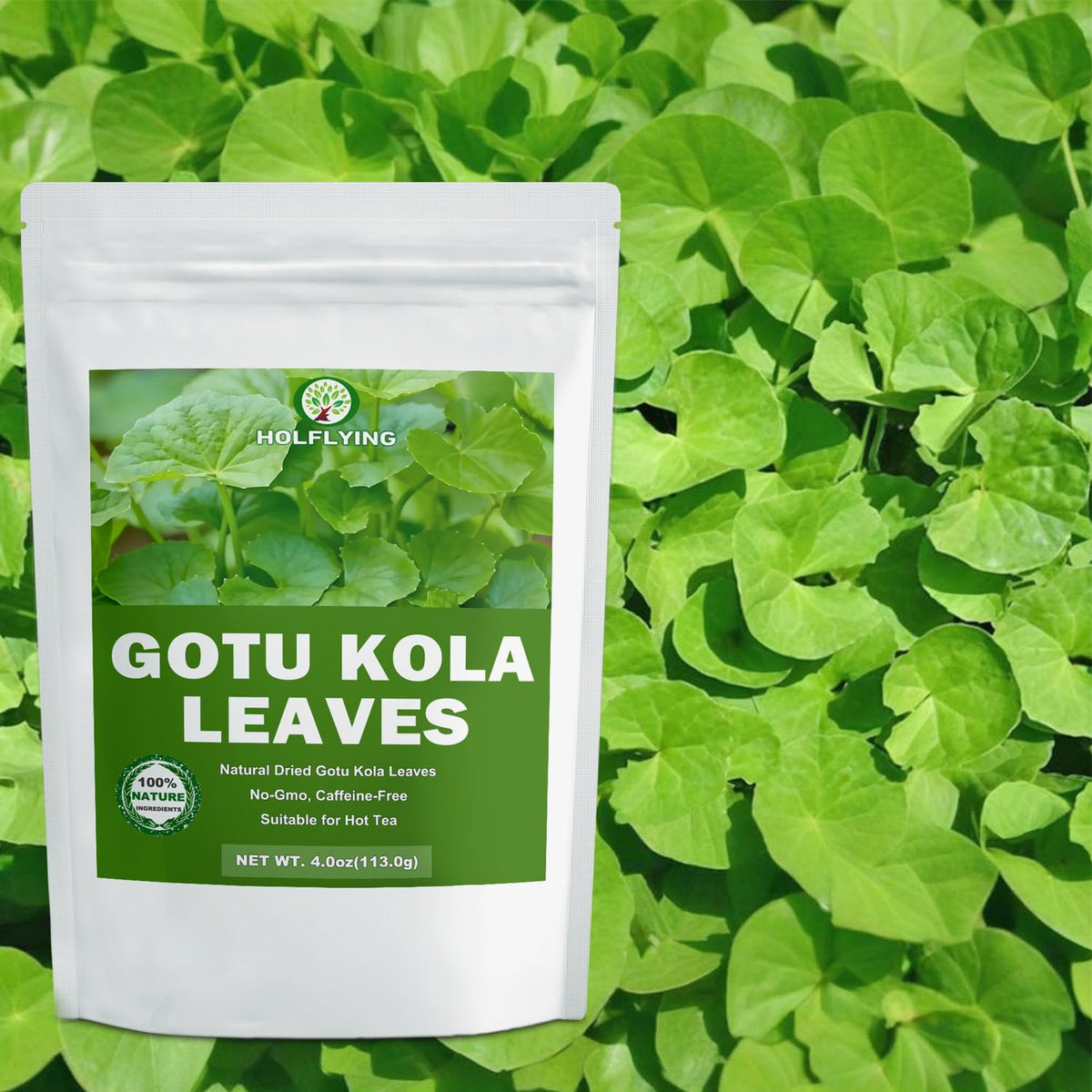 Close-up of HOLFLYING Gotu Kola cut and sifted leaves