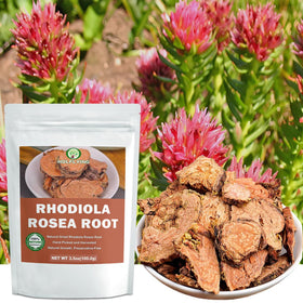 HOLFLYING rhodiola root slices, sustainably sourced for a pure herbal infusion.