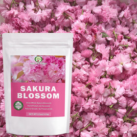 HOLFLYING sakura bloom in a tea cup highlighting serene ceremony and gentle flavor notes