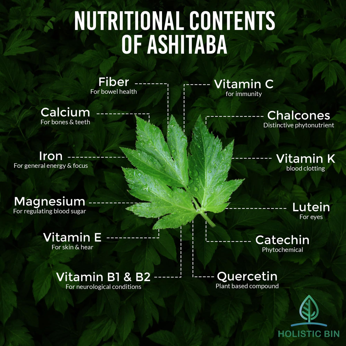Holistic Bin ashitaba powder in a smoothie, highlighting versatility.
