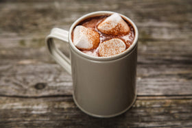 Hollander Sweet Ground Dutched Chocolate Powder packaging shows Rainforest Alliance certification cue