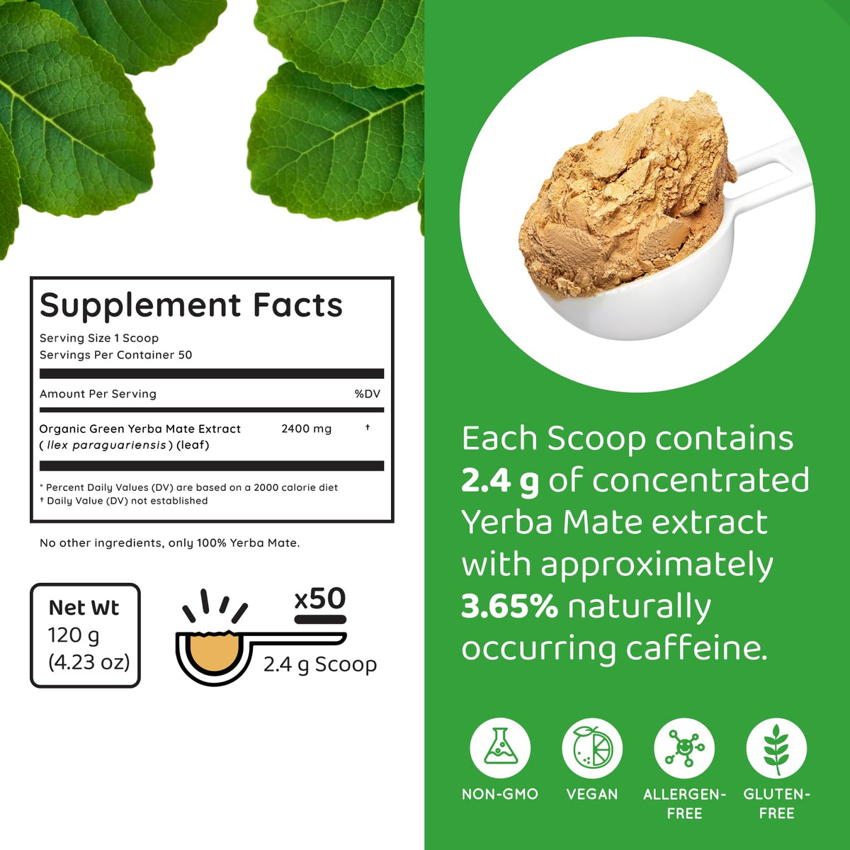HOLYMARY Yerba Mate Instant Tea ingredients label shows pure organic source.