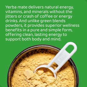 HOLYMARY Yerba Mate Instant Tea jar highlights pure concentrate for quick energy.