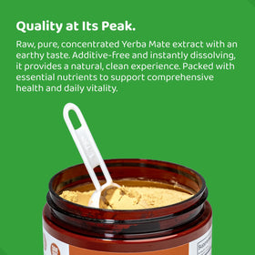 HOLYMARY Yerba Mate Instant Tea pour-ready mix for on-the-go energy.