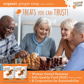Homefree Gluten-free ginger snap with no top 14 allergens