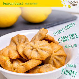Homefree Lemon Burst Mini Cookies in lunchbox for kids.