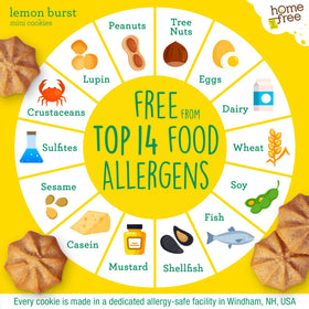 Homefree Lemon Burst Minis are vegan and dairy-free.