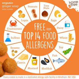 Homefree Nut-free facility ensures allergy-conscious production and clean labeling