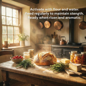 Homestead Bread Co. kitchen setup featuring starter and ingredients