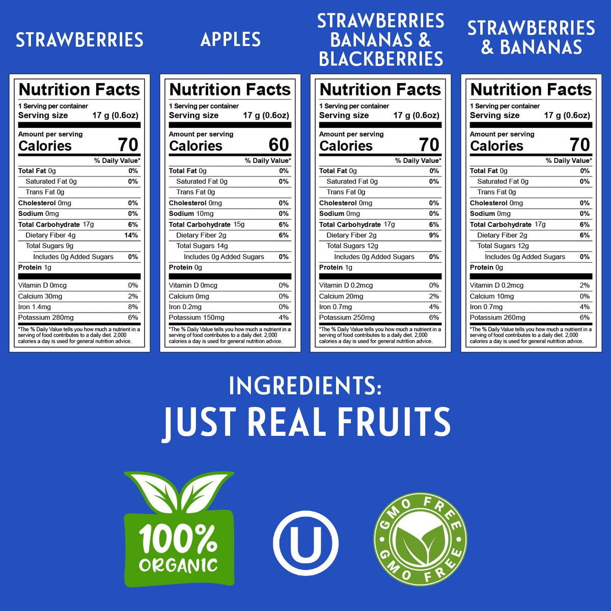 Front view of Homestead Reserve freeze dried fruit snack pack showing portable, mess-free packs.