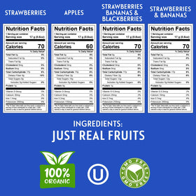 Front view of Homestead Reserve freeze dried fruit snack pack showing portable, mess-free packs.