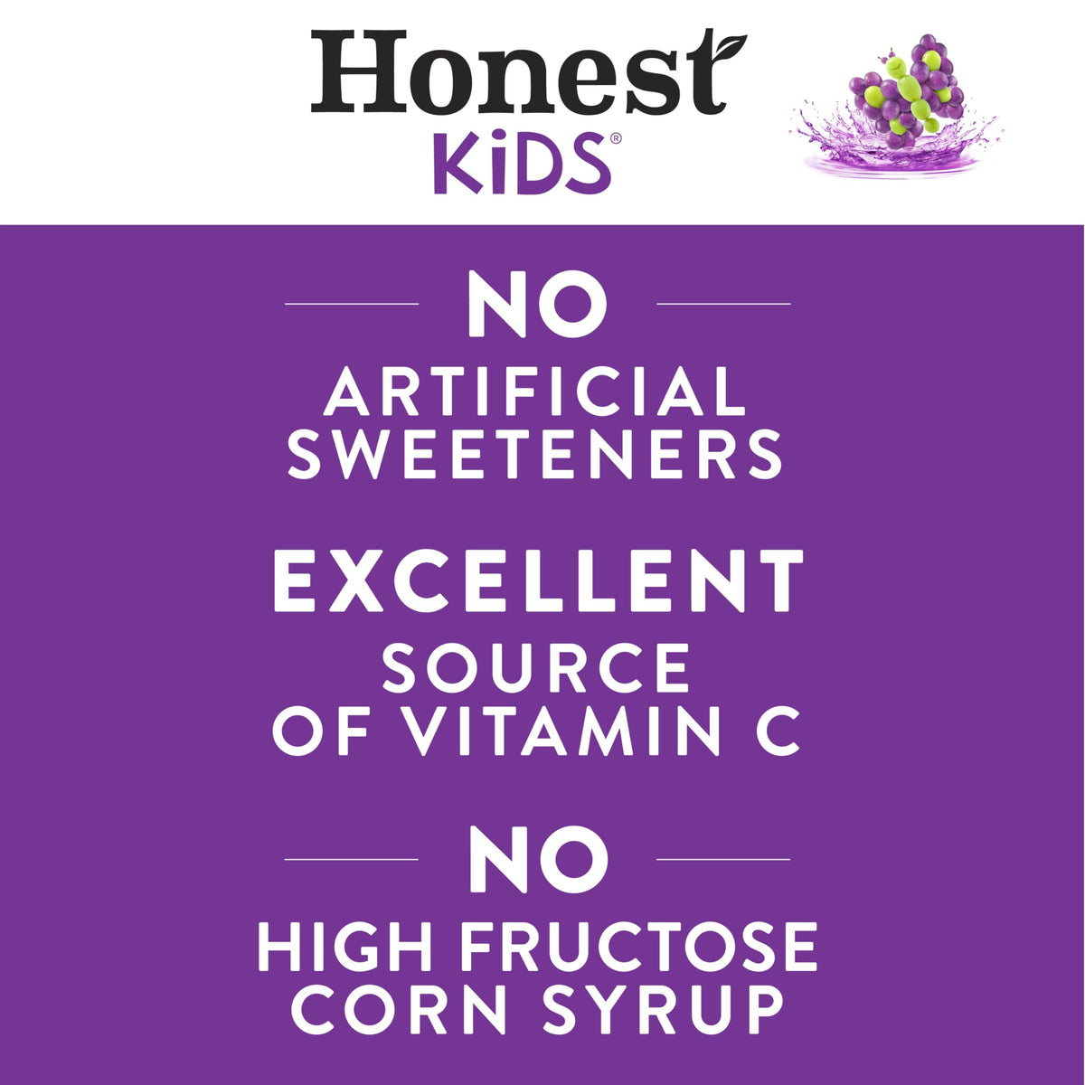 Honest Kids Goodness Grapeness carton back label highlights organic ingredients and no added sugar.