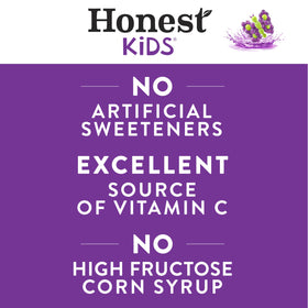 Honest Kids Goodness Grapeness carton back label highlights organic ingredients and no added sugar.