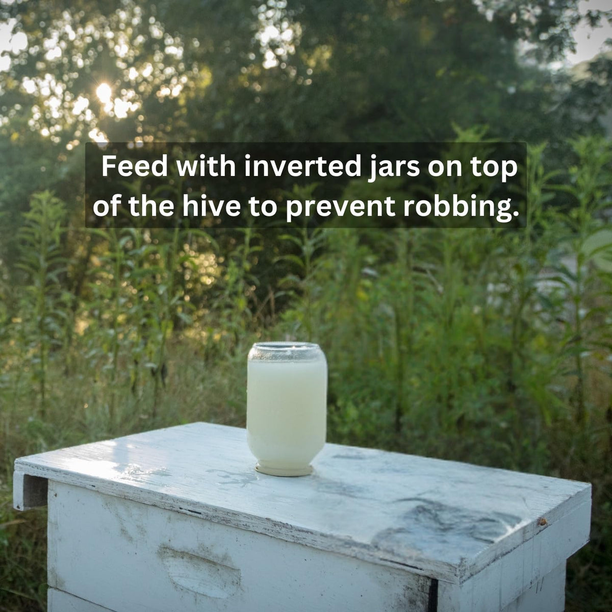 Honey B Healthy Plus syrup-drench additive being mixed for nucs and swarms.