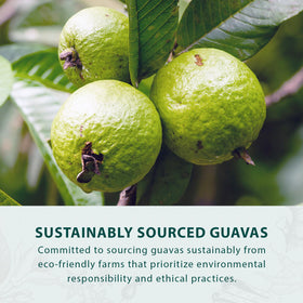 Hongyuan guava candy in travel bag, on-the-go sweetness anytime.