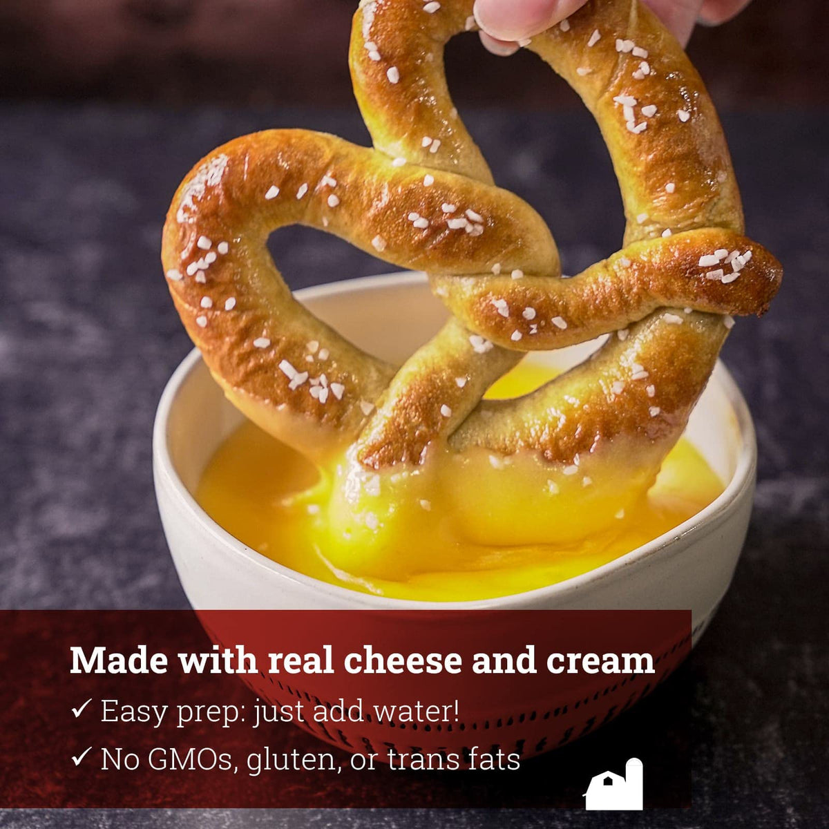 Hoosier Hill Farm Beer Cheese Sauce Mix served with bratwurst for bold flavor
