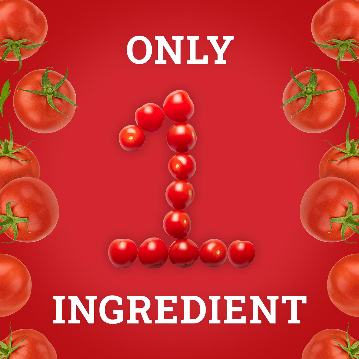 Hoosier Hill Farm tomato powder dense-flake texture on spoon for seasoning