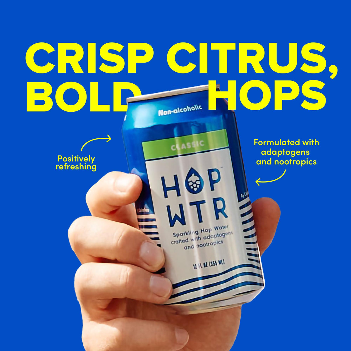 HOP WTR adaptogens close-up with ashwagandha and L-Theanine.