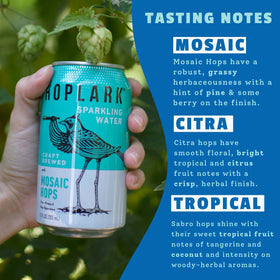 Hoplark Water bubbles in a glass emphasize crisp, sugar-free refreshment