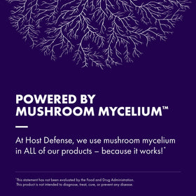 Host Defense MycoBrew Cocoa grown on brown rice substrate highlights sustainable fermentation