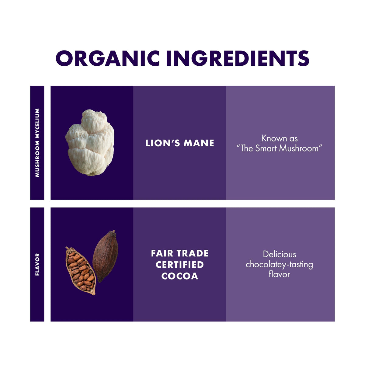 Host Defense MycoBrew Cocoa with fair-trade chocolate offers a smooth, mindful treat
