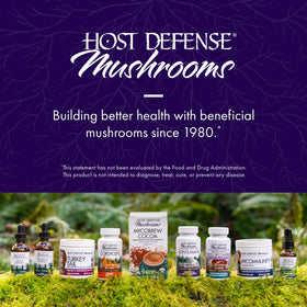 Host Defense MycoBrew Cocoa container on the kitchen counter for daily ritual.