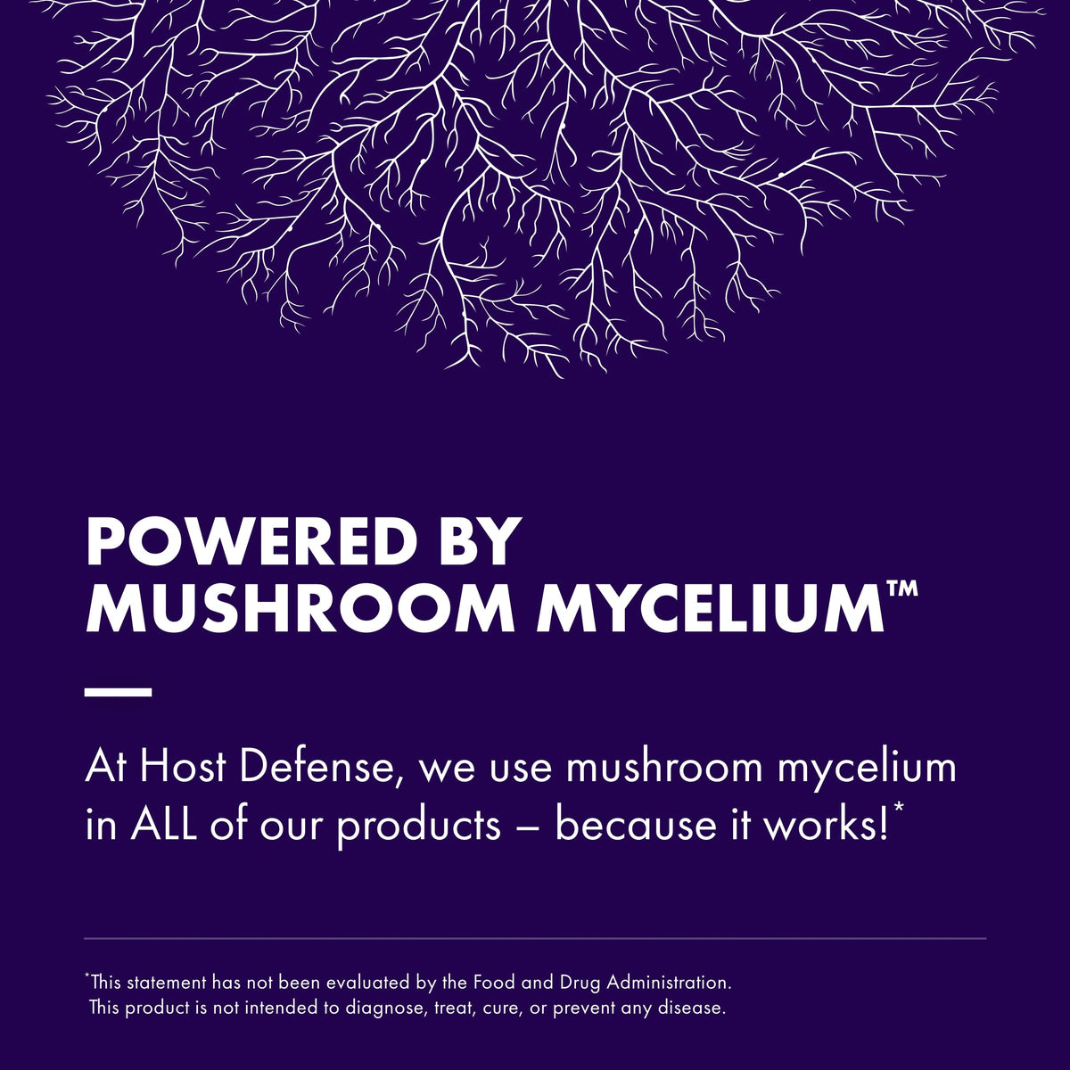 Host Defense MycoBrew Cocoa mushroom powder close up featuring Lion's Mane.